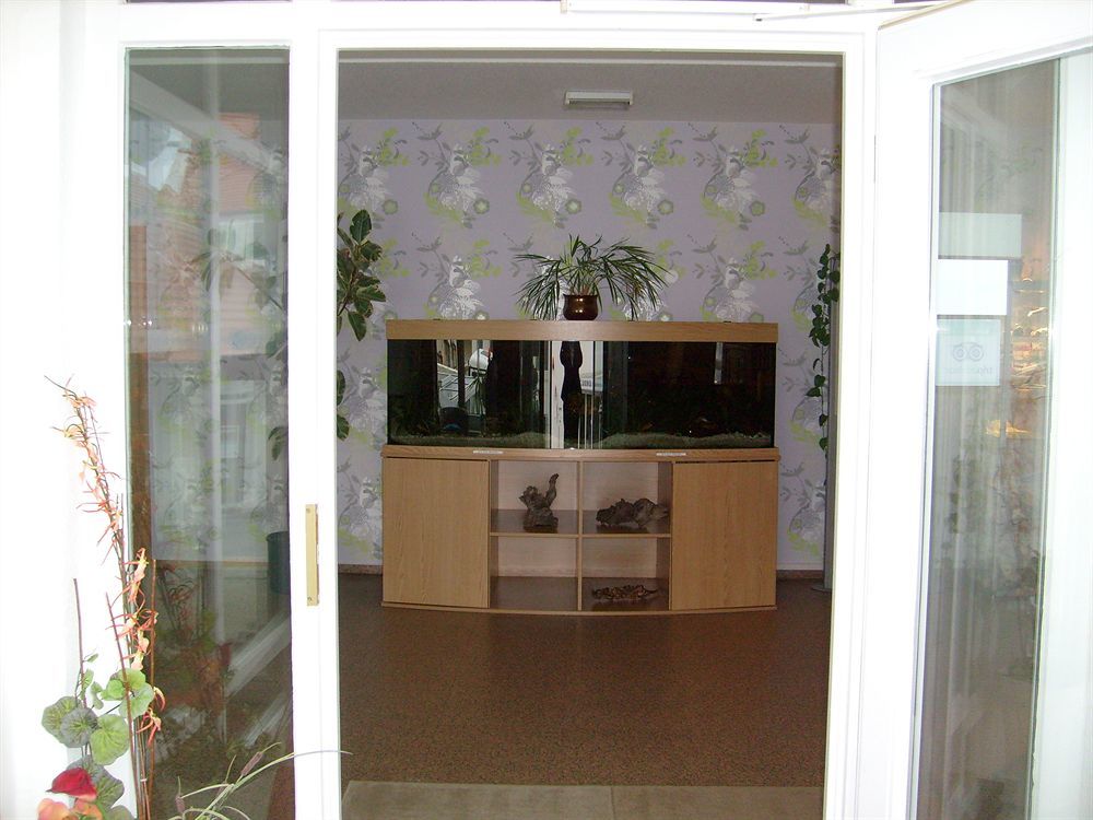 Villa Auszeit Hotel Garni Heringsdorf  Exterior photo
